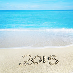 Welcoming the new year of  2015 at the beach