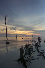Kelanang Beach , Malaysia 