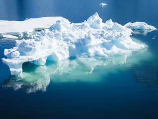 Foto op Plexiglas anti-reflex iceberg © ksumano