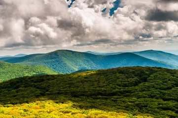 Fotobehang View of the Blue Ridge Mountains from Stony Man Mountain, in She © jonbilous