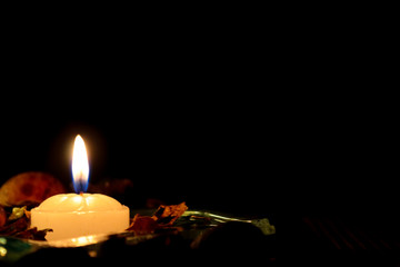 Felices Fiestas; Merry Christmas