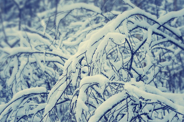 Snow-covered branches flying in vintage style