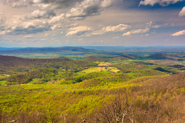 View of the Shenandoah Valley from Skyline Drive in Shenandoah N