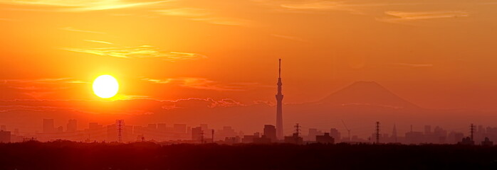 Naklejka premium View of Tokyo city and sunset sky in autumn season