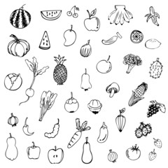Fruits and vegetables sketch vector in black doodle