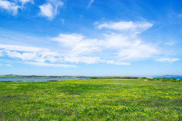 Obraz premium green field under a cloudy sky