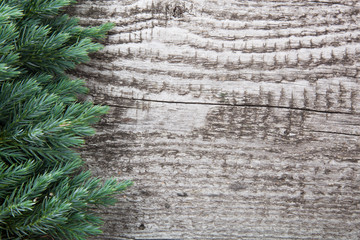 Old wooden background with pine branch, image of flooring board.