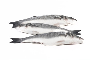 Three fresh sea bass on a light background.