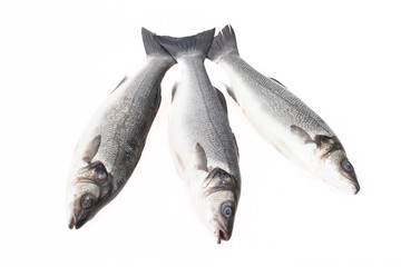 Three fresh fish on a light background. With space for text