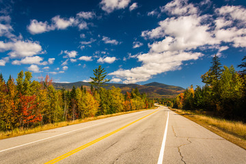Autumn color on Owls Head Highway in White Mountain National For