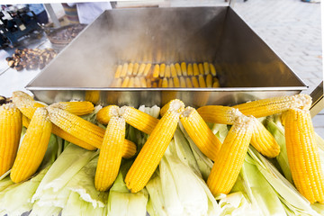 Boiled corn © Belish