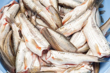 Pesciolini  freschi eviscerati  