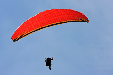paraglider