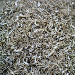 ちりめんじゃこ