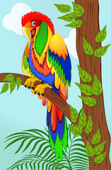 colorful parrot on tree branch