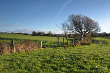 campagne