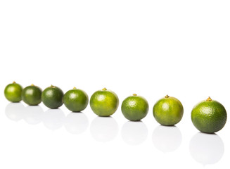 Calamondin or calamansi lime over white background