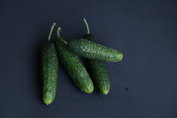 Cucumber