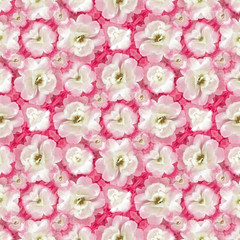 White Roses Floral Pattern