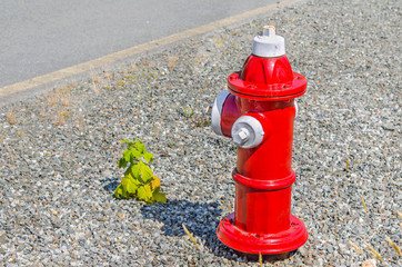 Red Fire Hydrant