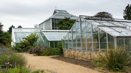 Obraz premium Old greenhouse in botanical garden Cambridge UK