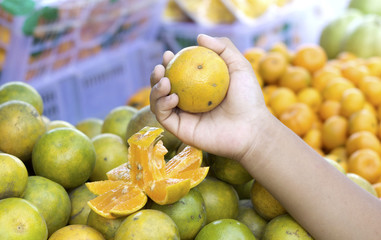 Oranges fruits at the market