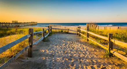 Poster Path over sand dunes to the Atlantic Ocean at sunrise in Ventnor © jonbilous