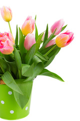 bouquet of pink and yellow  tulip flowers