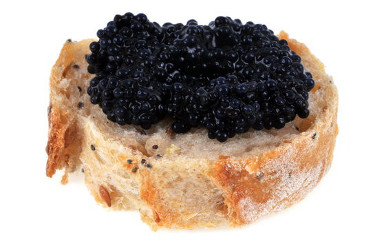Caviar sur tartine