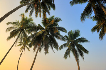 Fototapeta na wymiar Tropical sunset