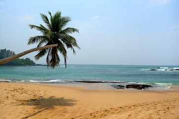 Fototapeta na wymiar Tropical beach