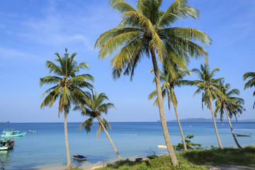 Fototapeta na wymiar Palm trees, boat and sea