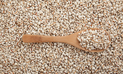 Jobs tears with wooden spoon