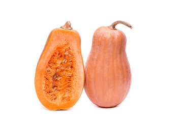 pumpkin squash isolated on a white background