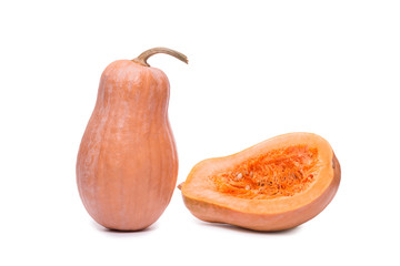 pumpkin squash isolated on a white background