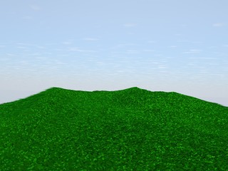 Lush green grass with blue sky background