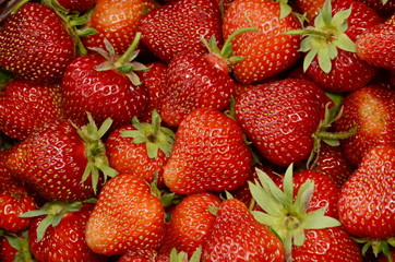 Fresh Red Strawberries