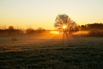 Bright sunrise over field