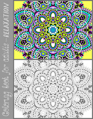 coloring book page for adults - flower paisley design
