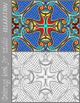 unique coloring book page for adults - flower paisley design