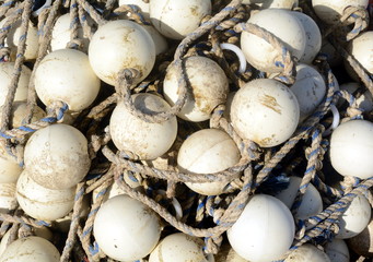 Schwimmköper zum Fischfang