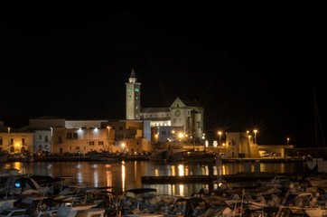 Fototapeta premium Trani cathedral in night sky from the marina