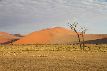 Fototapeta na wymiar Sossusvlei park, Namibia