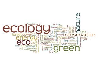 Conceptual ecology word cloud