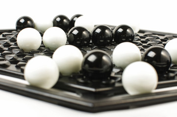 Abalone game isolated close up