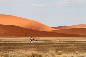 Sossusvlei park, Namibia