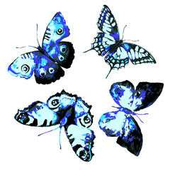 butterflies design