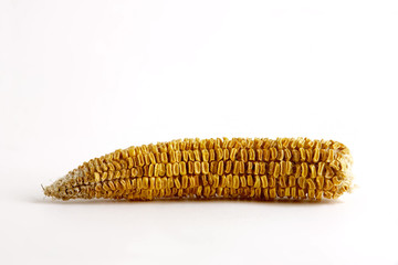 bad corncob © lotus_studio