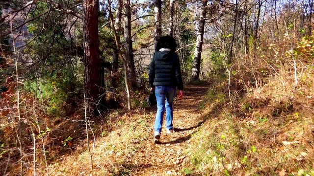 Female hiking in a forest