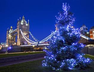 Tower Bridge and Christmas Tree in London